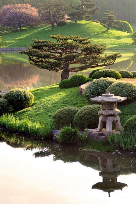japon_bahcesi