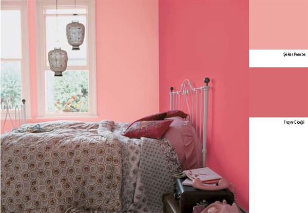 seker-pembe-fusya-cicegi